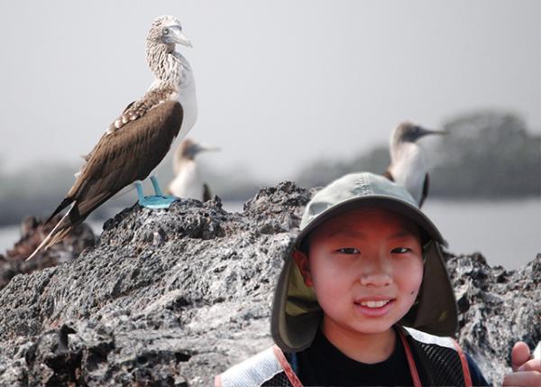 04-02-13_ Bird_Blue-footed Boobies-30001.jpg