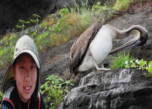 04-02-13_  Pelican -20001.jpg