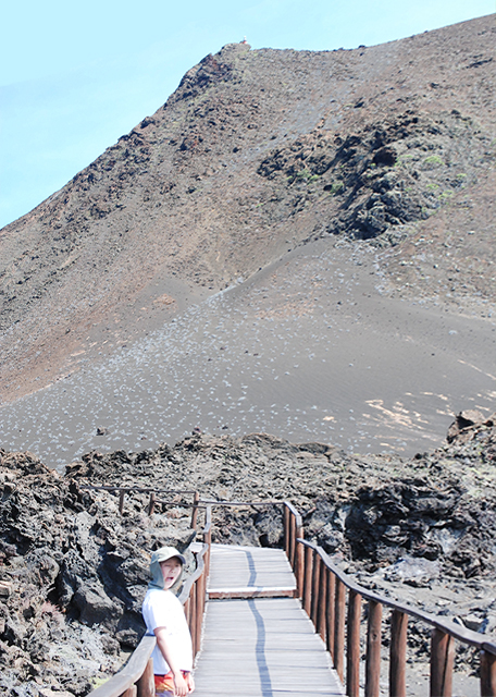 04-03-13_ Spatter Cone_Welded Lava Fragments Ƭ-10001.jpg