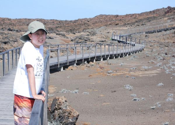 04-03-13_ Wooden Stairway.jpg