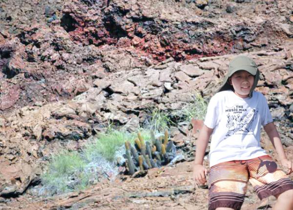 04-03-13_ Bartolom_Lava Cactus-30001.jpg