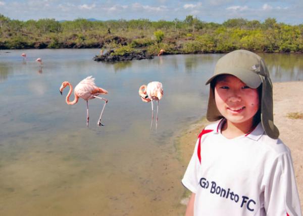 04-04-13_ Brackish Lagoon Flamingo, the Only Time to Gather while Mating & Migrating ΨнǨž̵ˮ0001.JPG