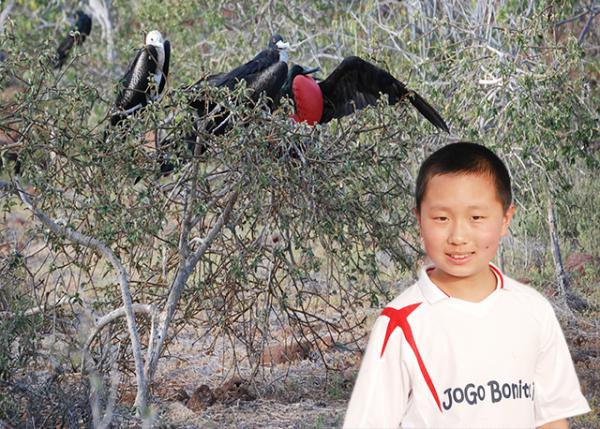 04-04-13_ Magnificent Frigate ׳-10001.jpg