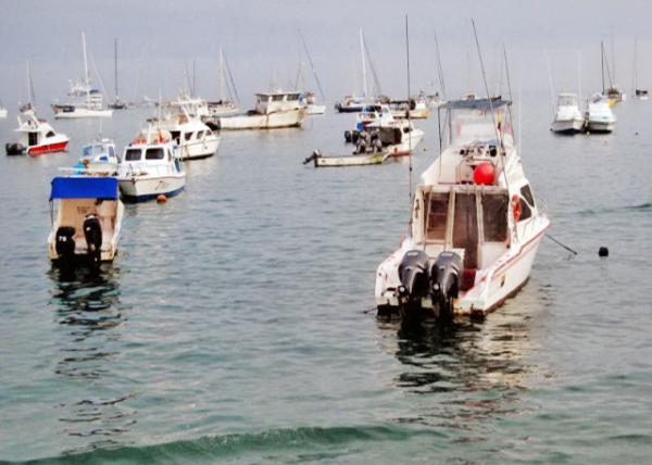 04-05-13_ Artisan Fishery ֹҵ-0001.JPG