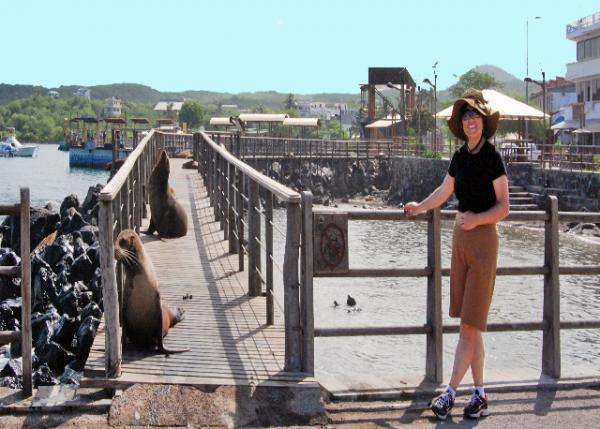04-05-13_ Puerto Baquerizo Moreno_Galapagos Sea Lions ޹굺ʨ-20001.jpg