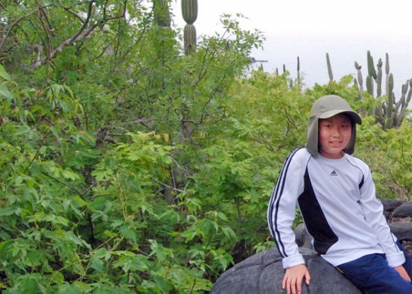 04-05-13_ Plant_Cacaotillo ޱѷҰĵ0001.JPG