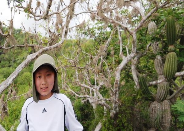 04-05-13_ Plant_Liana Tree ٱ0001.JPG