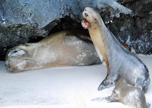 04-05-13_ Are You My Mom-20001.JPG