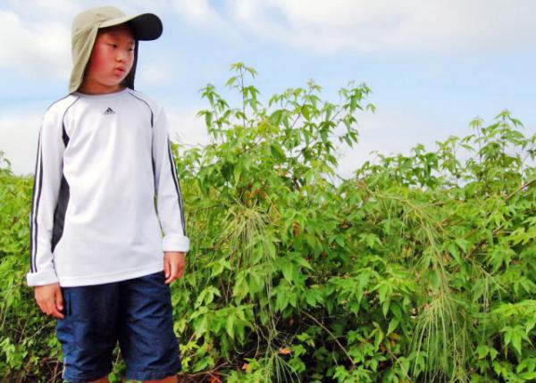 04-05-13_ Cacaotillo ޱѷҰĵ0001.JPG