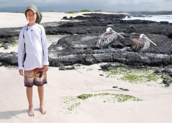 04-05-13_ Brown Pelican0001.JPG