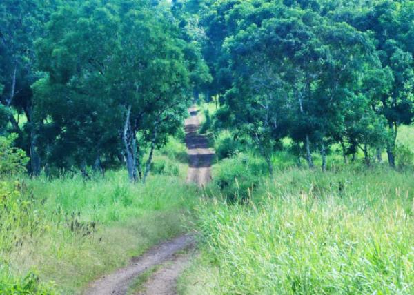 04-06-13_ Highlands ߵ0001.JPG