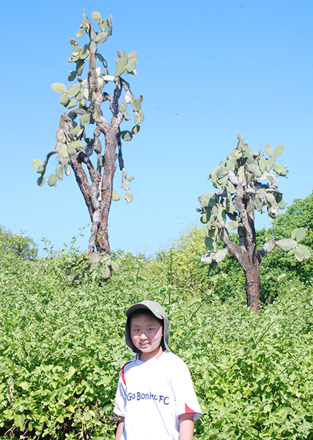 04-06-13_ Saguaro -20001.JPG