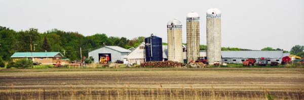2017-05-28_04_Woods, or steepy mountain yields. Ⱥɽ֮-50001.JPG