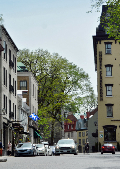 1755406689809891.jpg 2017-05-28_Rue Sainte-Anne 聖安妮街0001.JPG