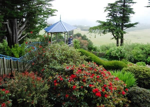 12-26-09_ Garden.jpg