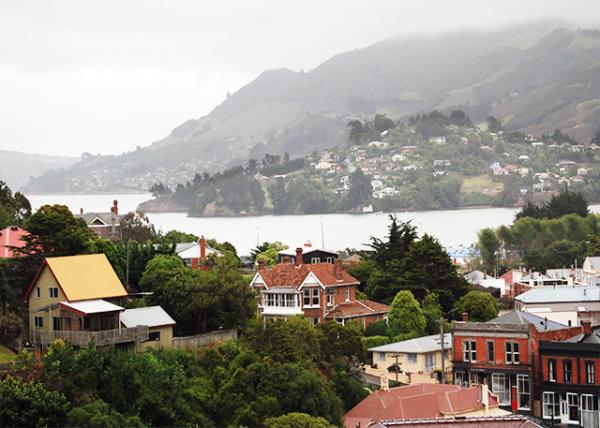 12-26-09_ Otago Peninsula, a Long, Hilly Indented Finger of Land that Forming the Easternmost Part of Dunedin.jpg