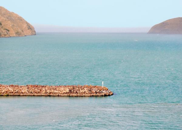 12-25-09_ Lyttelton Breakwater ضٷ-20001.JPG