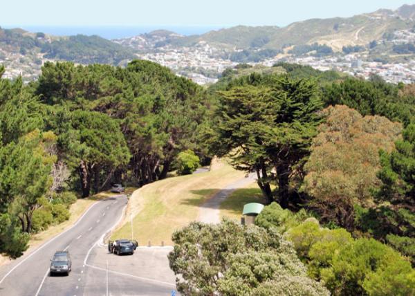 12-24-09_ Filmed Place for Lord of Ring @ Mt. Victoria άɽָ㳡-10001.JPG