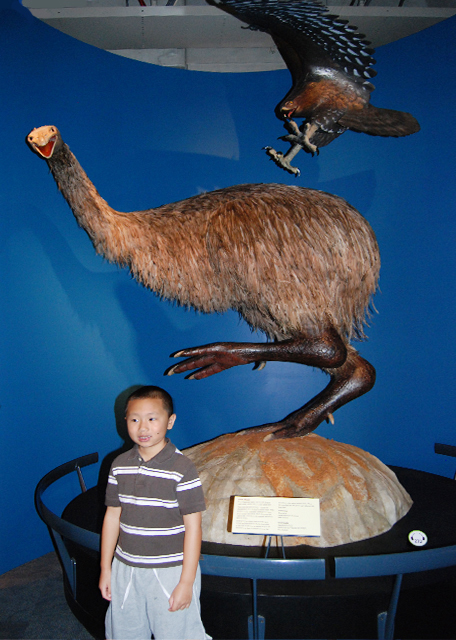 12-24-09_ Te Papa Museum_Mountains to Sea ɽ-20001.JPG