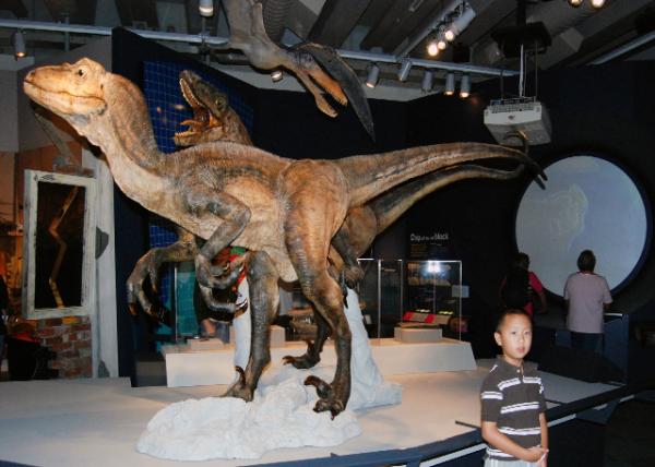 12-24-09_ Te Papa Museum_Velociraptor.jpg