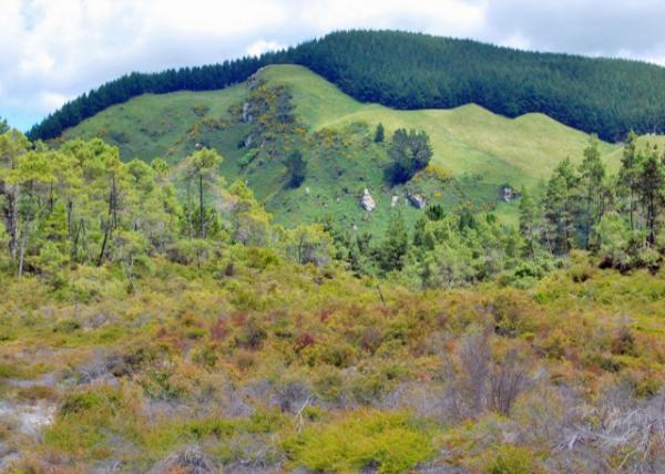 12-21-09_ Waiotapu Thermal Wonderland ʥˮ澳-20001.JPG