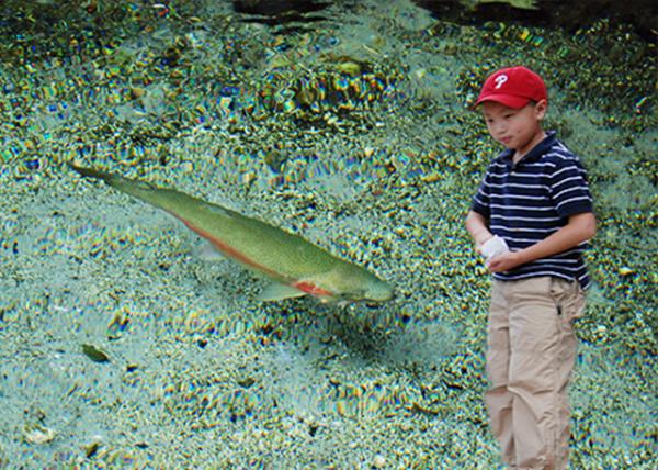 12-21-09_ Feed Rainbow Trout0001.jpg