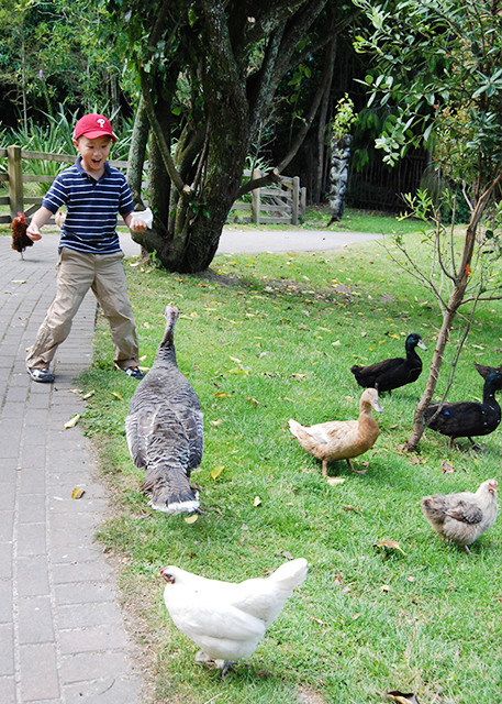 12-21-09_ Play w Bronze Turkey.jpg