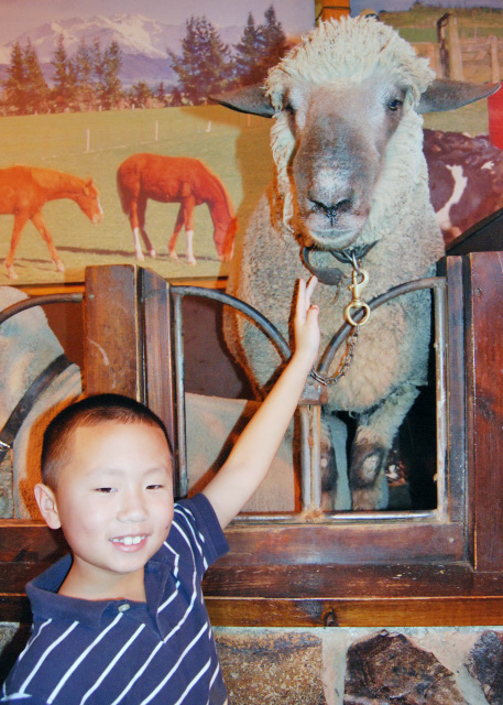 12-21-09_ Corriedale Model @ Agrodome Agriculture Theme Park ģ-3.JPG