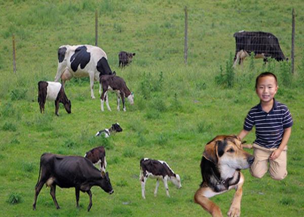 12-21-09_ Agrodome Agriculture Theme Park-10001.jpg