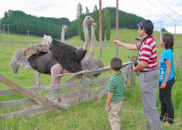 12-19-09_ Ostrich Farm ֳ-4.JPG