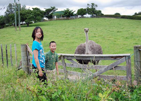 12-19-09_ Ostrich Farm-1.JPG