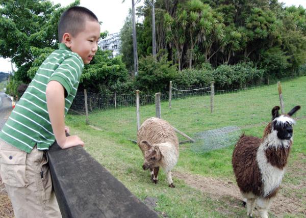 12-19-09_ Animal Farm0001.JPG