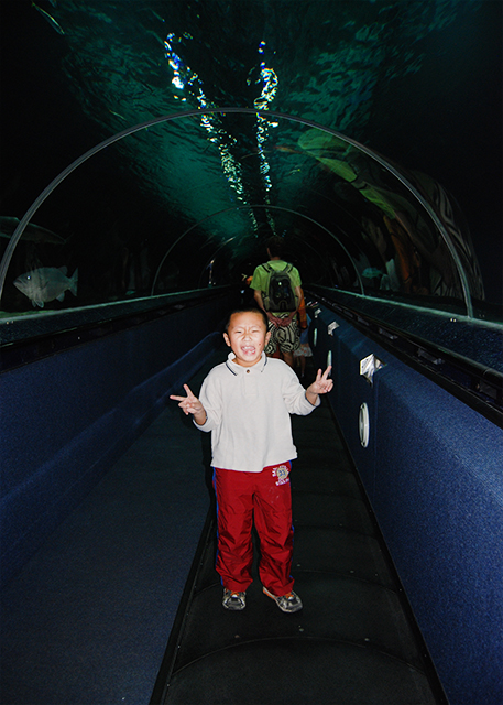 12-18-09_ Riding through the Plexiglas Tube @ Oceanarium of Kelly Tarlton's Underwater World ٺˮݡл.JPG