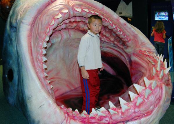 12-18-09_ Kelly Tarlton's Antarctic Encounter and Underwater World_Pacific Shark Zone ̫ƽ0001.JPG