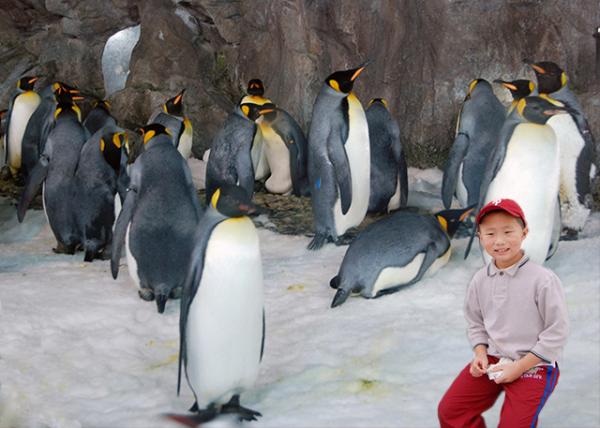 12-18-09_ King Penguin-10001.jpg