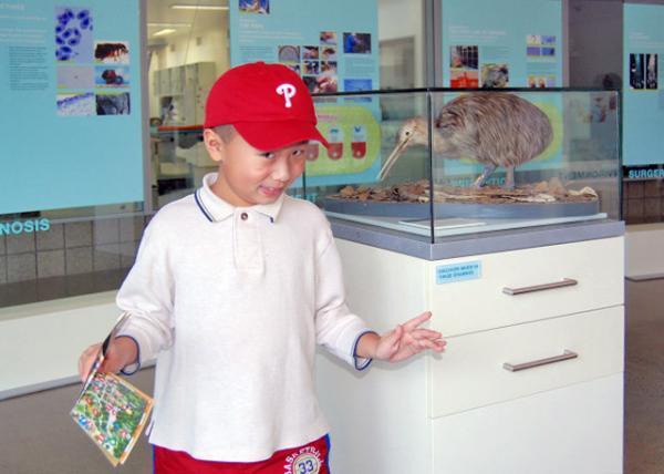 12-18-09_ Apteryx or Kiwi Ҽά.JPG