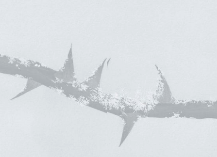 1756053882422399.png 圖片4.png