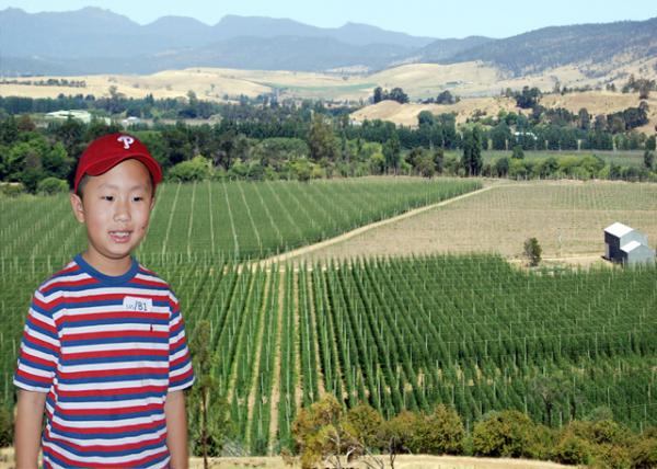 2008-12-30_ Derwent Valley Hop Farm ơƻũ-10001.jpg