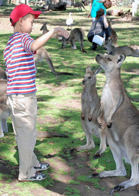 12-30-09_ Wildlife Park Ұ԰-20001.JPG