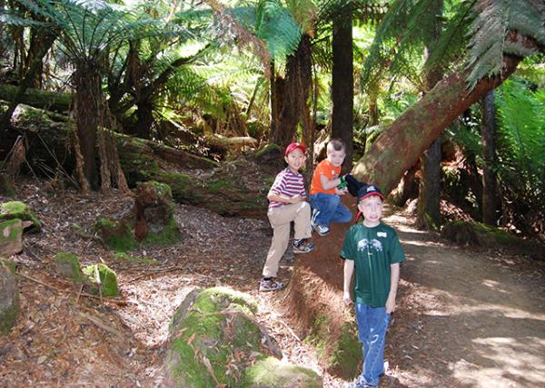 2008-12-30_ Austral Filmy Ferns ޱĤާ.JPG