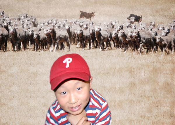 2008-12-30_ Merino Herd w Sr & Jr Sheperd ŵȺСȮ-20001.jpg