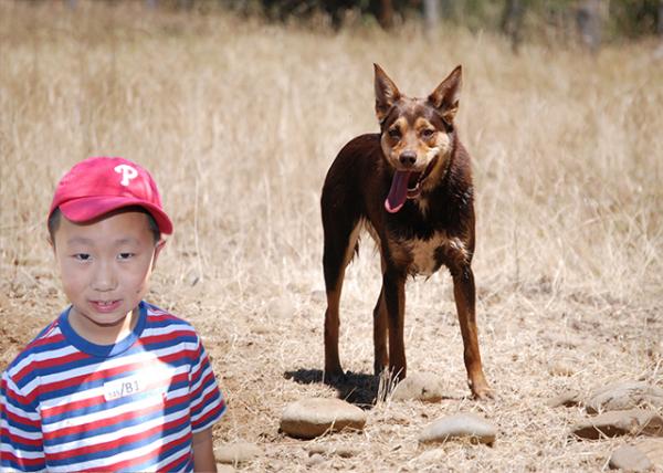 2008-12-30_ Jr. Sheperd СȮ-10001.JPG