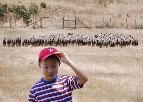 2008-12-30_ Merino Herd w Sr & Jr Sheperd ŵȺСȮ-10001.jpg