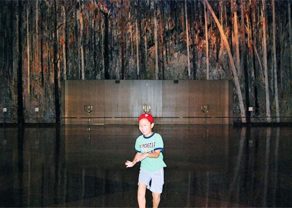 01-05-10_  Parliament House_Ball Room-20001.jpg