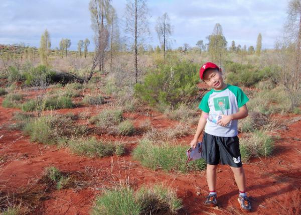 01-08-10_ Uluru, the Ayers Rock_Buffel Grass in Sandstone Desert-20001.jpg