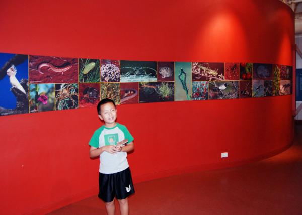 01-09-10_ Alice Springs Desert Park.jpg