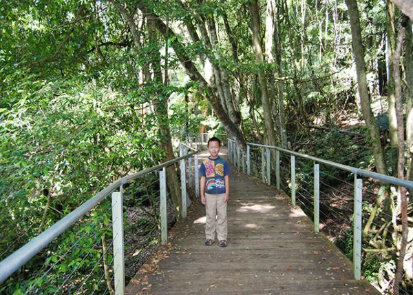 01-11-10_ Giant Quiefway ͨ0001.JPG