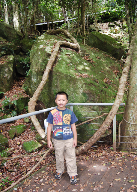 01-11-10_ Tree Root Rock.jpg