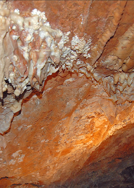 01-11-10_ Helictites Doing Mad Shenanigans.jpg