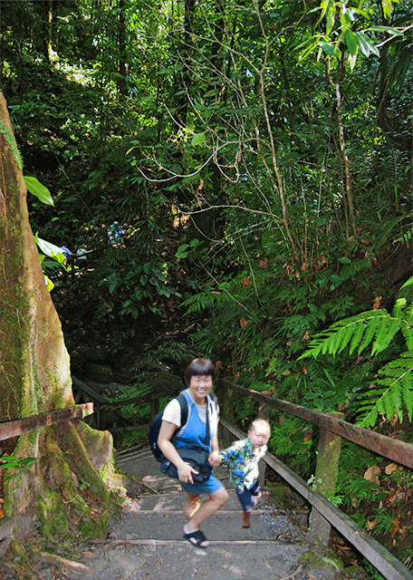 01-29-08_ Morne Trois Pitons NP_Titou Gorgeɽҹ԰ͷϿ-10001.jpg